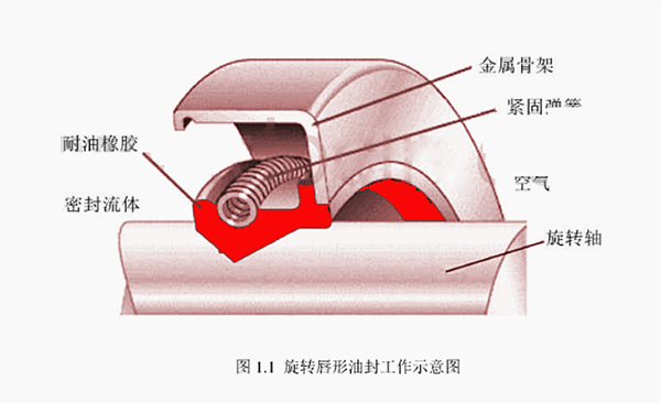旋轉(zhuǎn)唇形油封修理包 旋轉(zhuǎn)唇形油封修理包