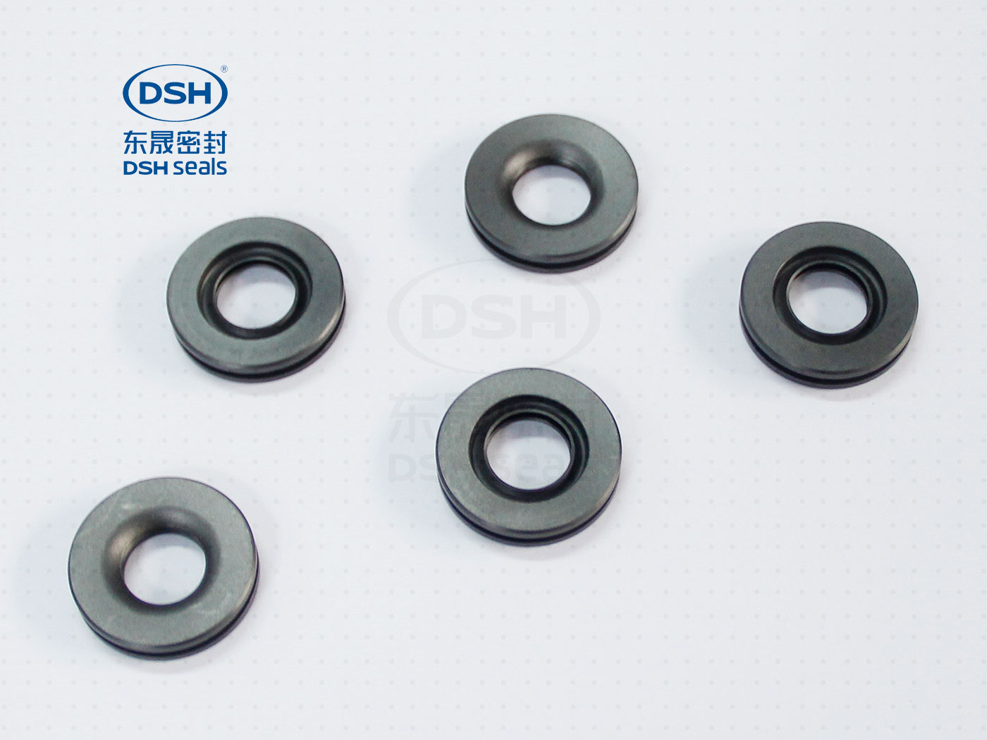 聚四氟乙烯B型油封