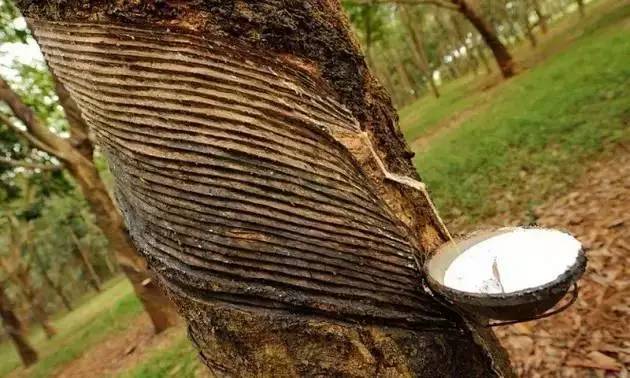 橡膠原材料 橡膠原材料