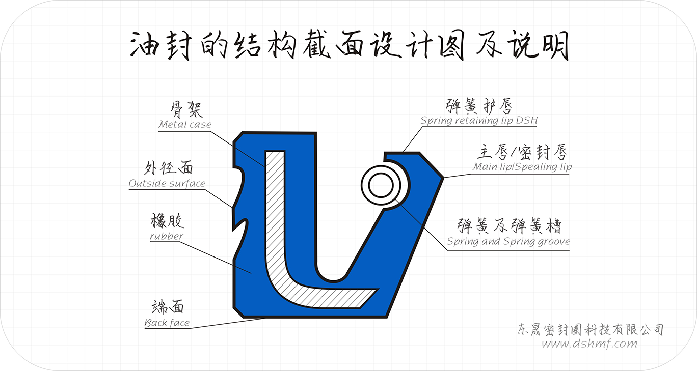 油封的結(jié)構(gòu)截面設(shè)計圖及說明2