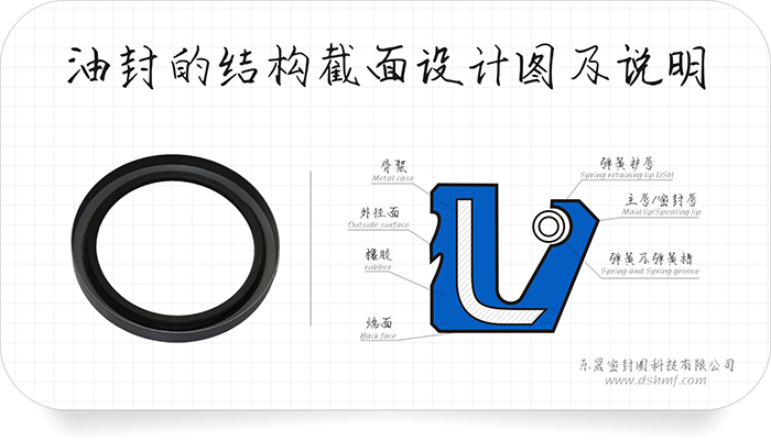 油封的外緣部4種泄漏方式及9條原因分析匯報！油封的唇口10種泄漏原因及26條分析結(jié)果表！