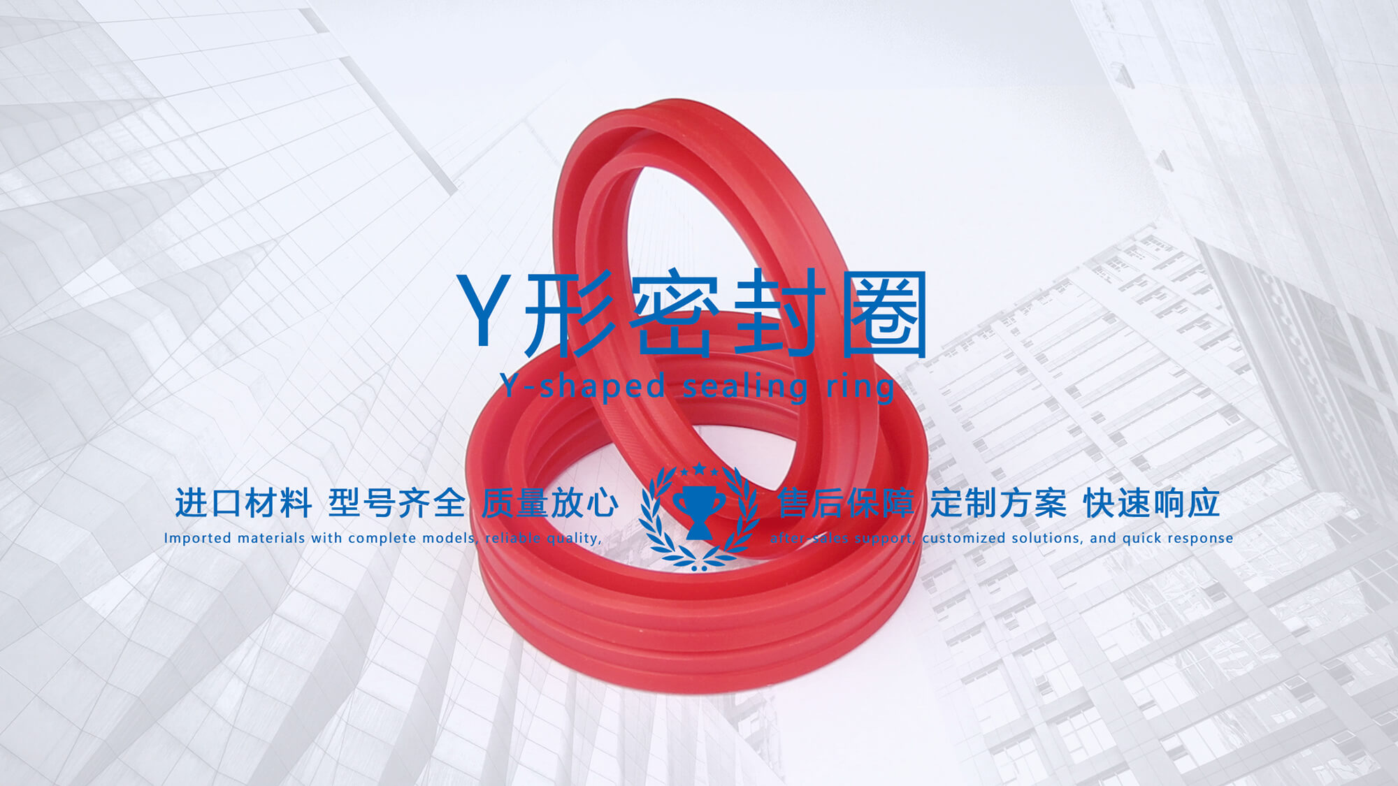 y型密封圈（又Y形密封圈，Y形圈，Y型圖或唇形密封圈，密封件油封膜片） (3)
