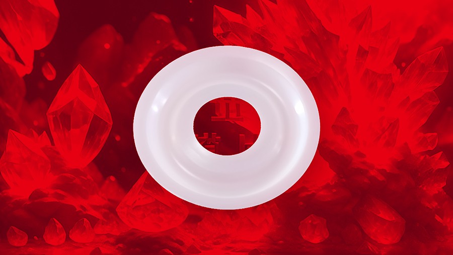 勝佰德氣動隔膜泵膜片 (2)