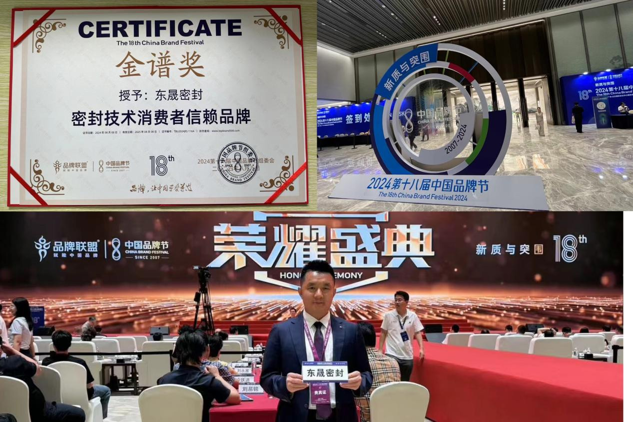 東晟密封件閃耀2024第十八屆中國品牌節(jié)，榮獲密封技術(shù)“金譜獎”