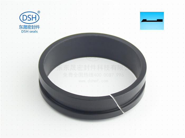 軸用帶刮唇導向環(huán)DFAI 導向套 (1).JPG